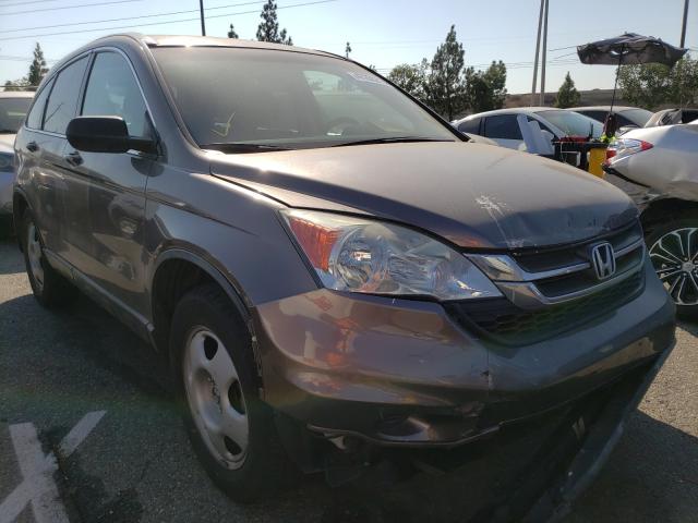 HONDA CR-V LX 2011 5j6re3h33bl015516