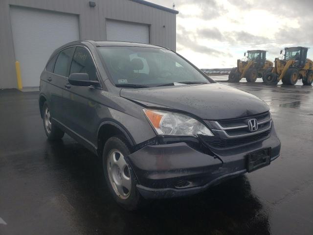 HONDA CR-V LX 2011 5j6re3h33bl036124