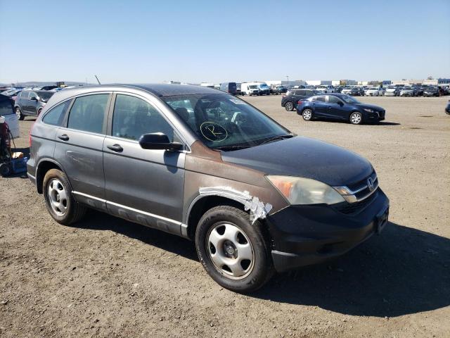 HONDA CR-V LX 2010 5j6re3h34al046059