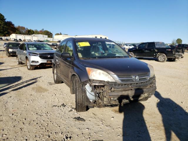 HONDA CR-V LX 2010 5j6re3h36al011913