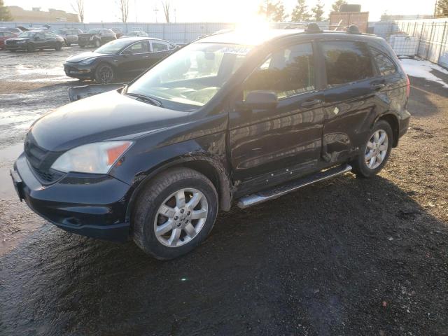 HONDA CR-V LX 2010 5j6re3h37al801348