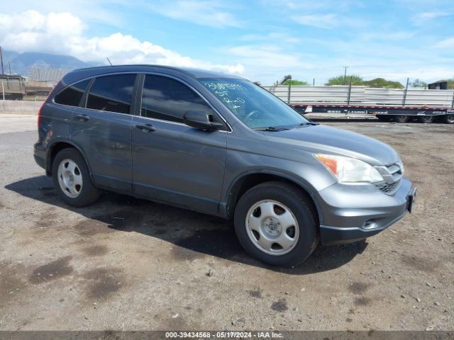 HONDA CR-V 2010 5j6re3h38al017342