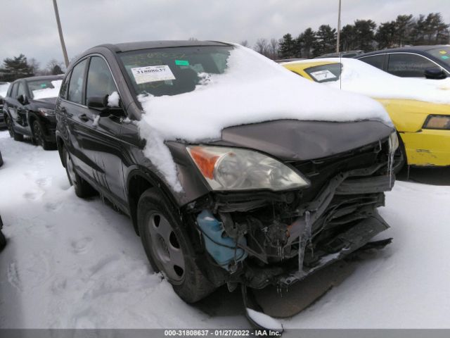 HONDA CR-V 2011 5j6re3h38bl028603