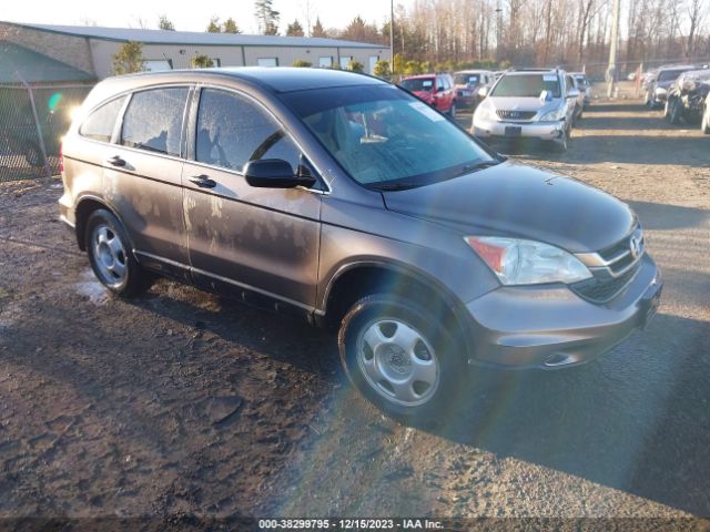 HONDA CR-V 2010 5j6re3h39al025675