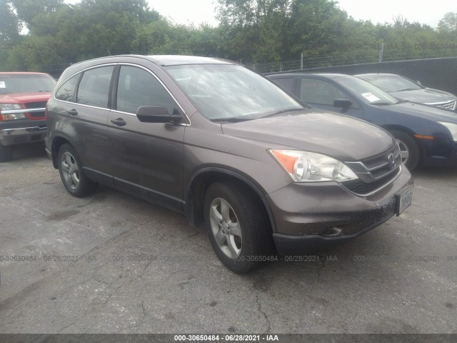 HONDA CR-V 2010 5j6re3h39al041360