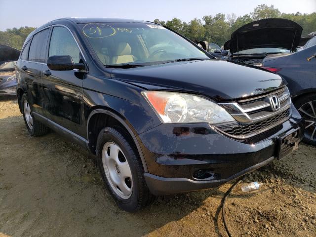 HONDA CR-V LX 2010 5j6re3h3xal012952