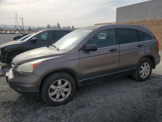 HONDA CR-V SE 2011 5j6re3h41bl004992