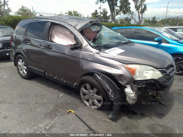 HONDA CR-V 2011 5j6re3h42bl019212