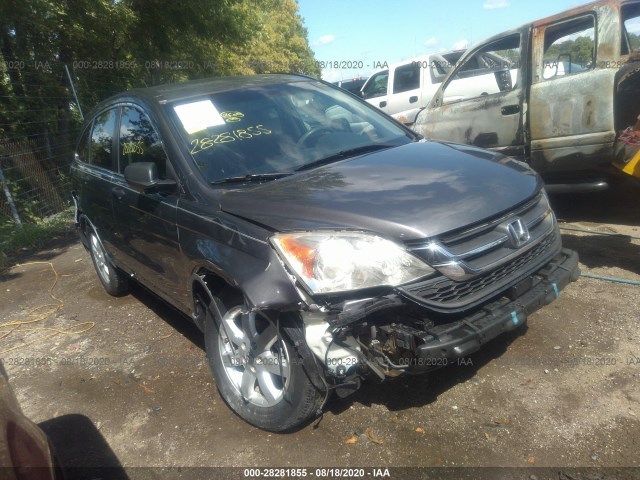 HONDA CR-V 2011 5j6re3h46bl001294