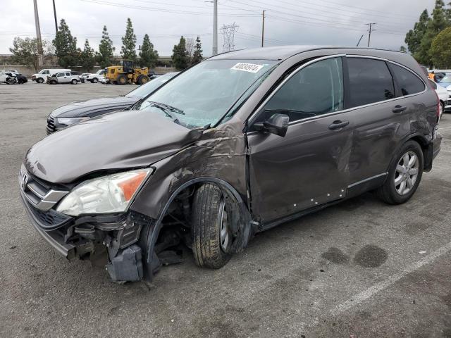 HONDA CRV 2011 5j6re3h48bl024463