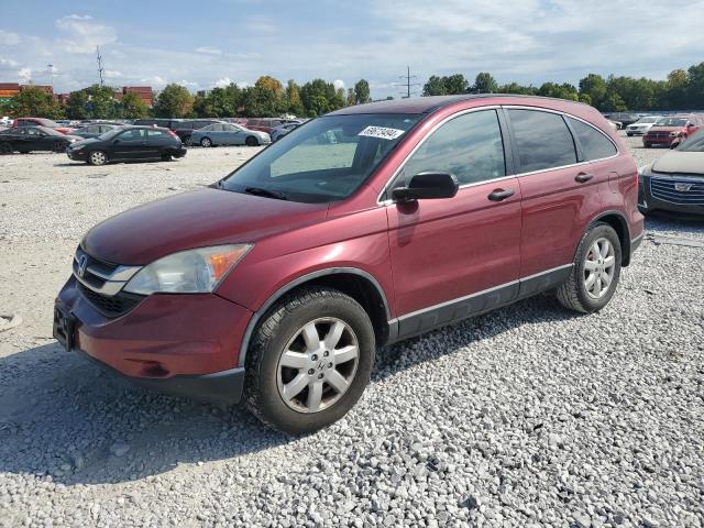 HONDA CR-V SE 2011 5j6re3h4xbl037537