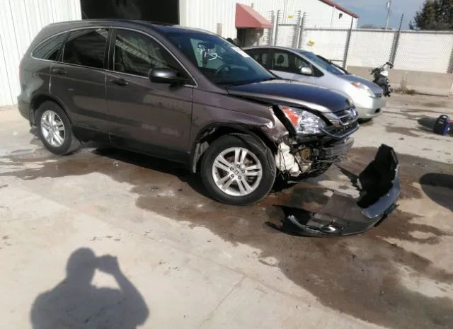 HONDA CR-V 2010 5j6re3h51al043590