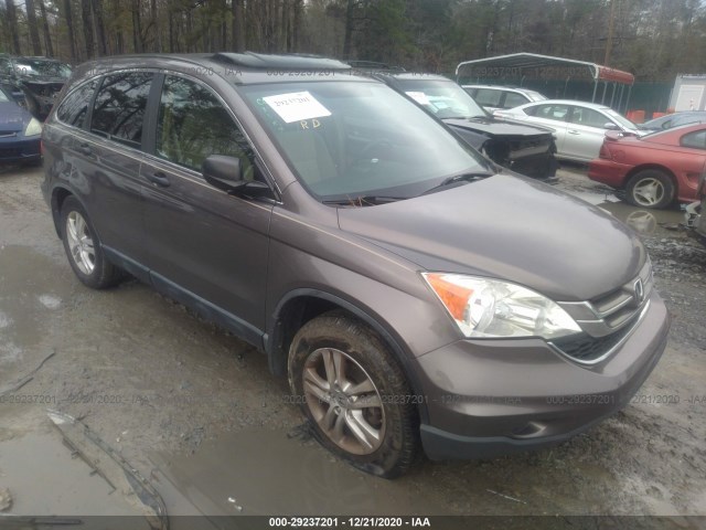 HONDA CR-V 2010 5j6re3h51al045694