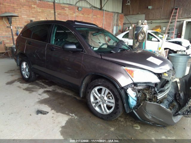 HONDA CR-V 2010 5j6re3h58al027046