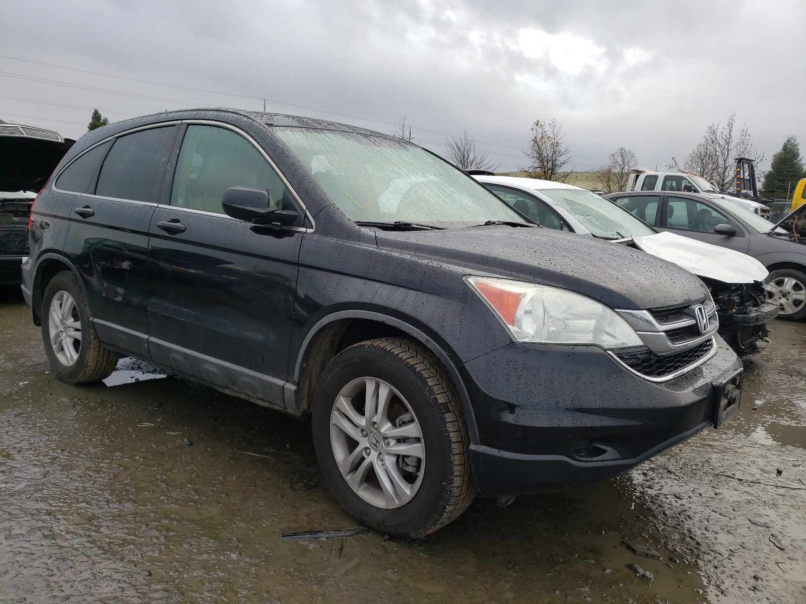 HONDA CR-V EX 2010 5j6re3h59al002673