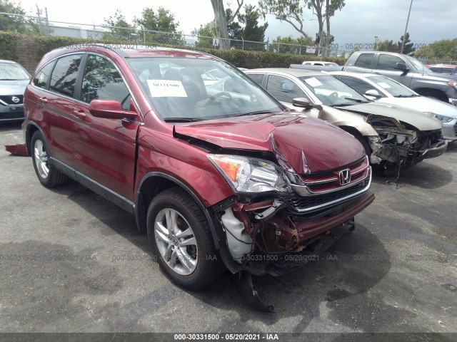 HONDA CR-V 2010 5j6re3h70al027933