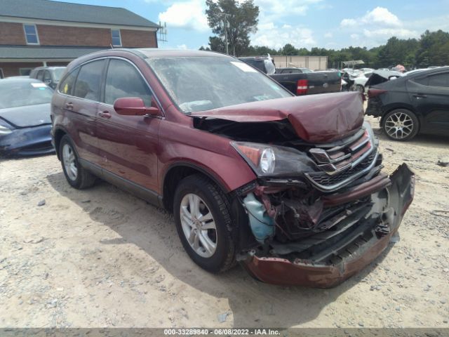 HONDA CR-V 2010 5j6re3h71al001826