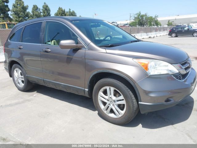 HONDA CR-V 2010 5j6re3h71al020358