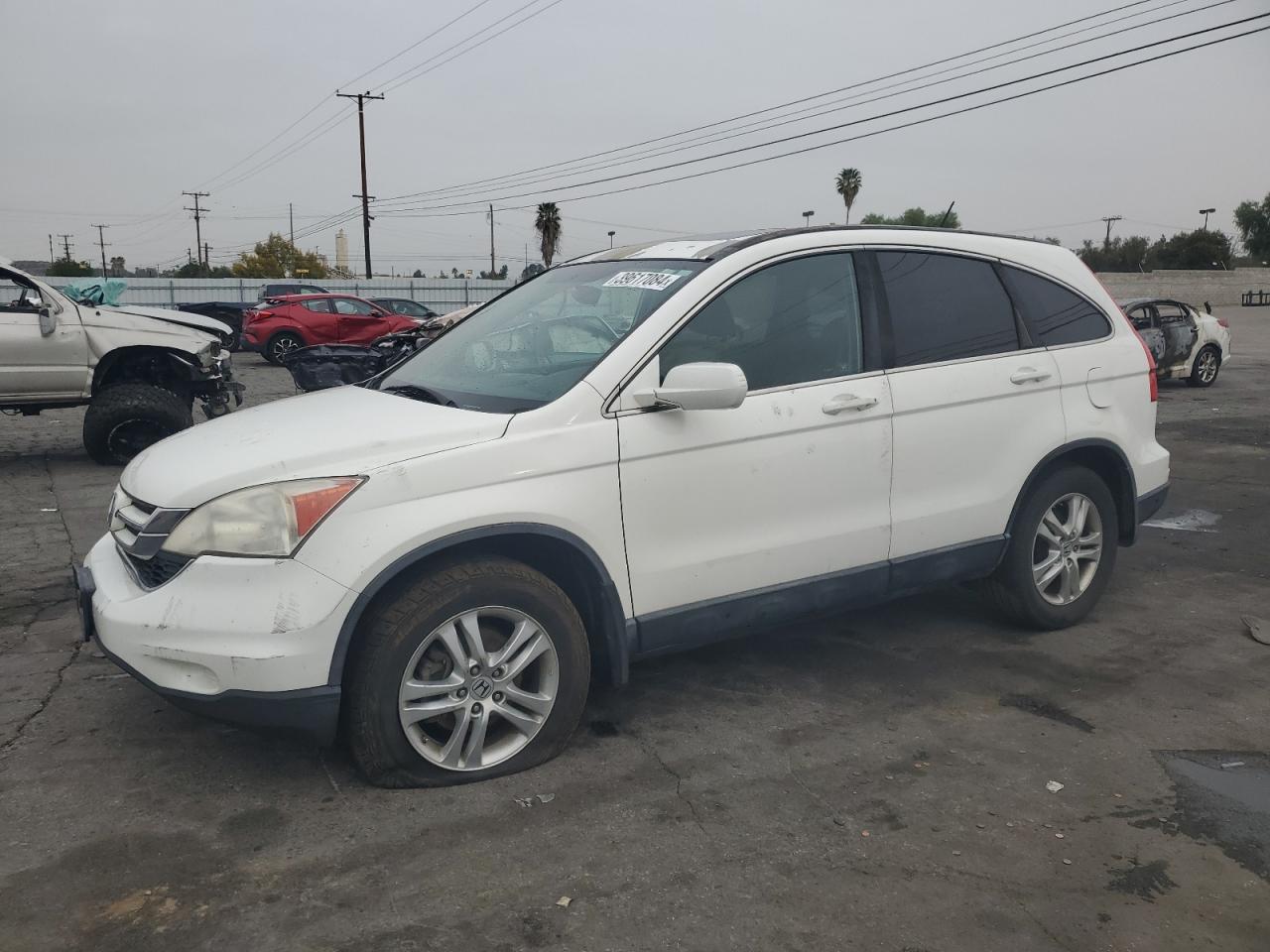 HONDA CR-V 2011 5j6re3h74bl026799