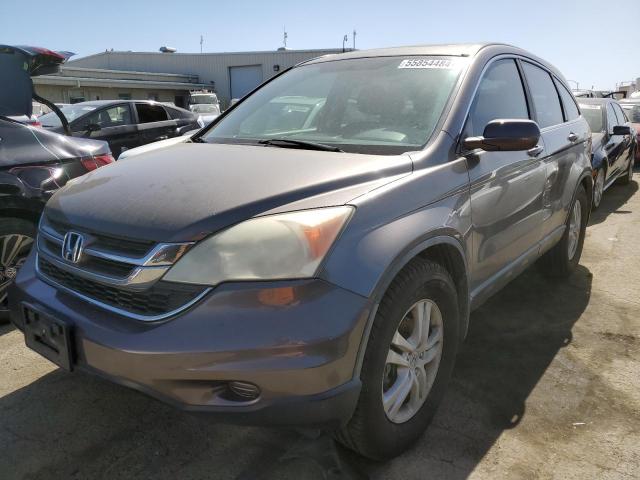 HONDA CRV 2010 5j6re3h77al016816