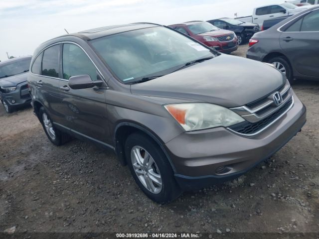 HONDA CR-V 2010 5j6re3h77al025239