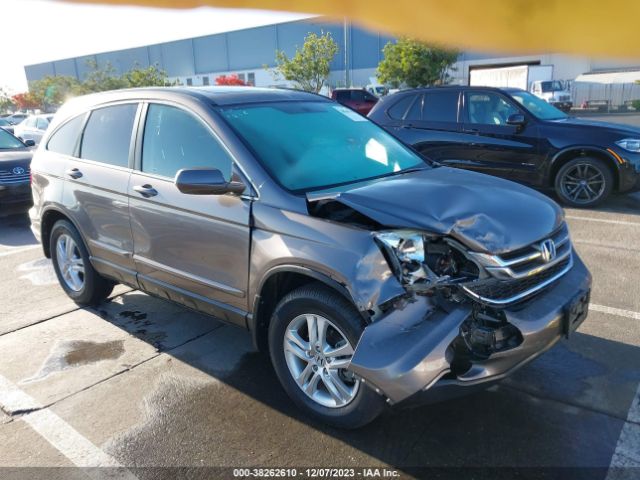 HONDA CR-V 2010 5j6re3h77al034958