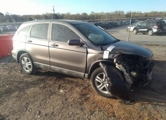 HONDA CR-V 2010 5j6re3h79al009799