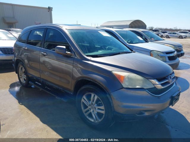 HONDA CR-V 2010 5j6re3h79al031494