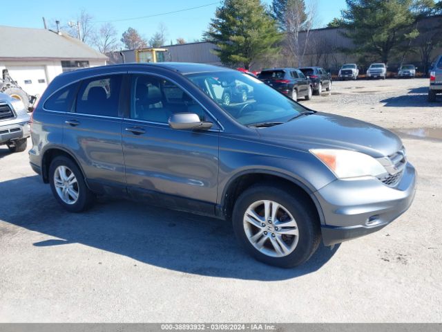 HONDA CR-V 2010 5j6re3h79al041894