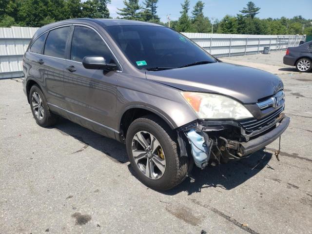 HONDA CR-V EX 2009 5j6re48519l013149