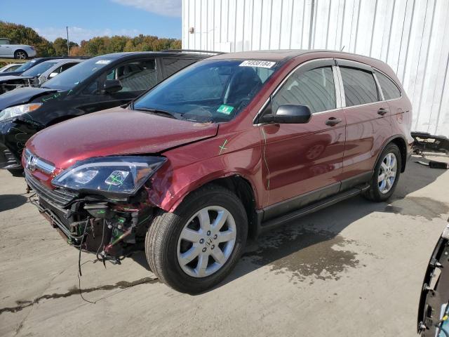 HONDA CR-V EX 2009 5j6re48529l002029