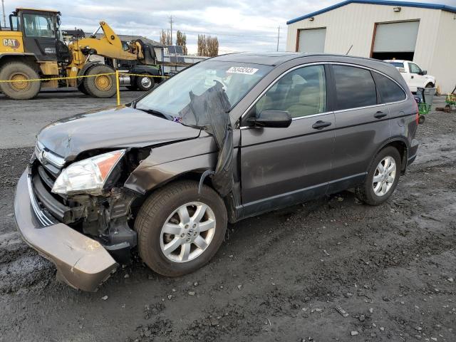 HONDA CRV 2009 5j6re48529l056950