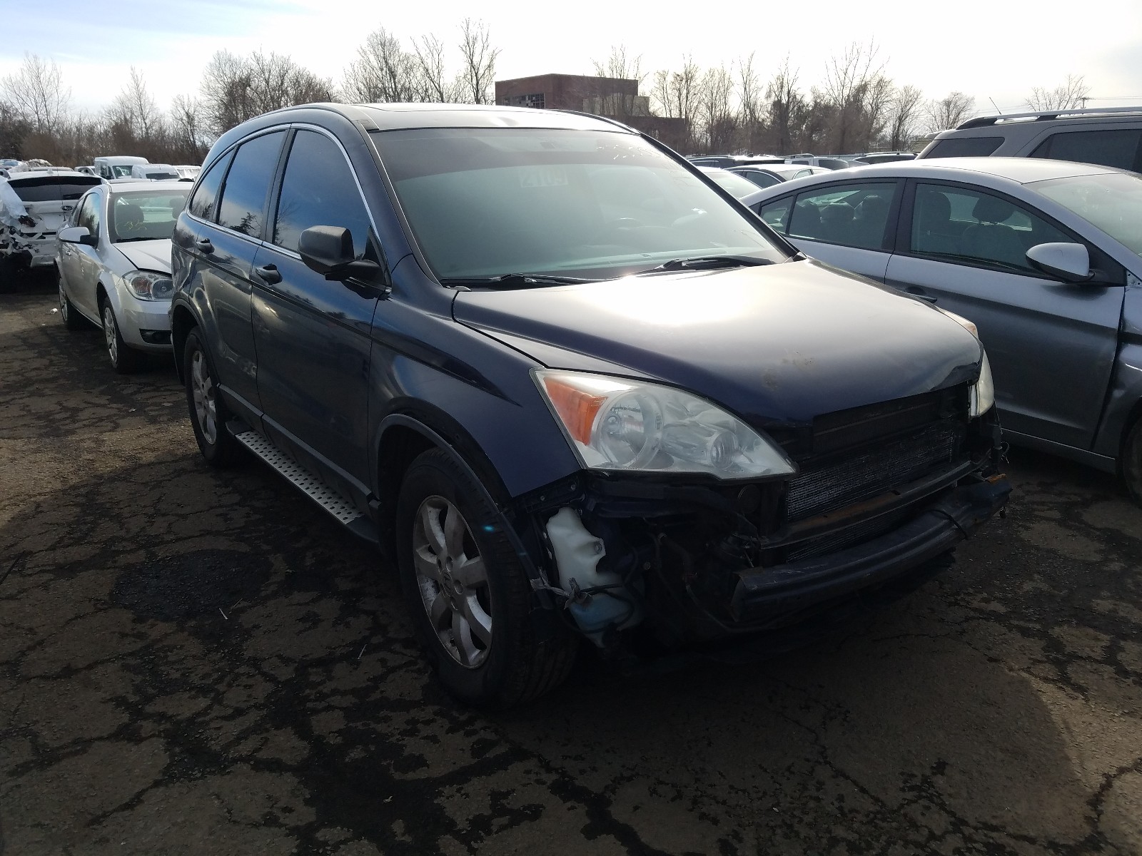 HONDA CR-V EX 2007 5j6re48567l011913