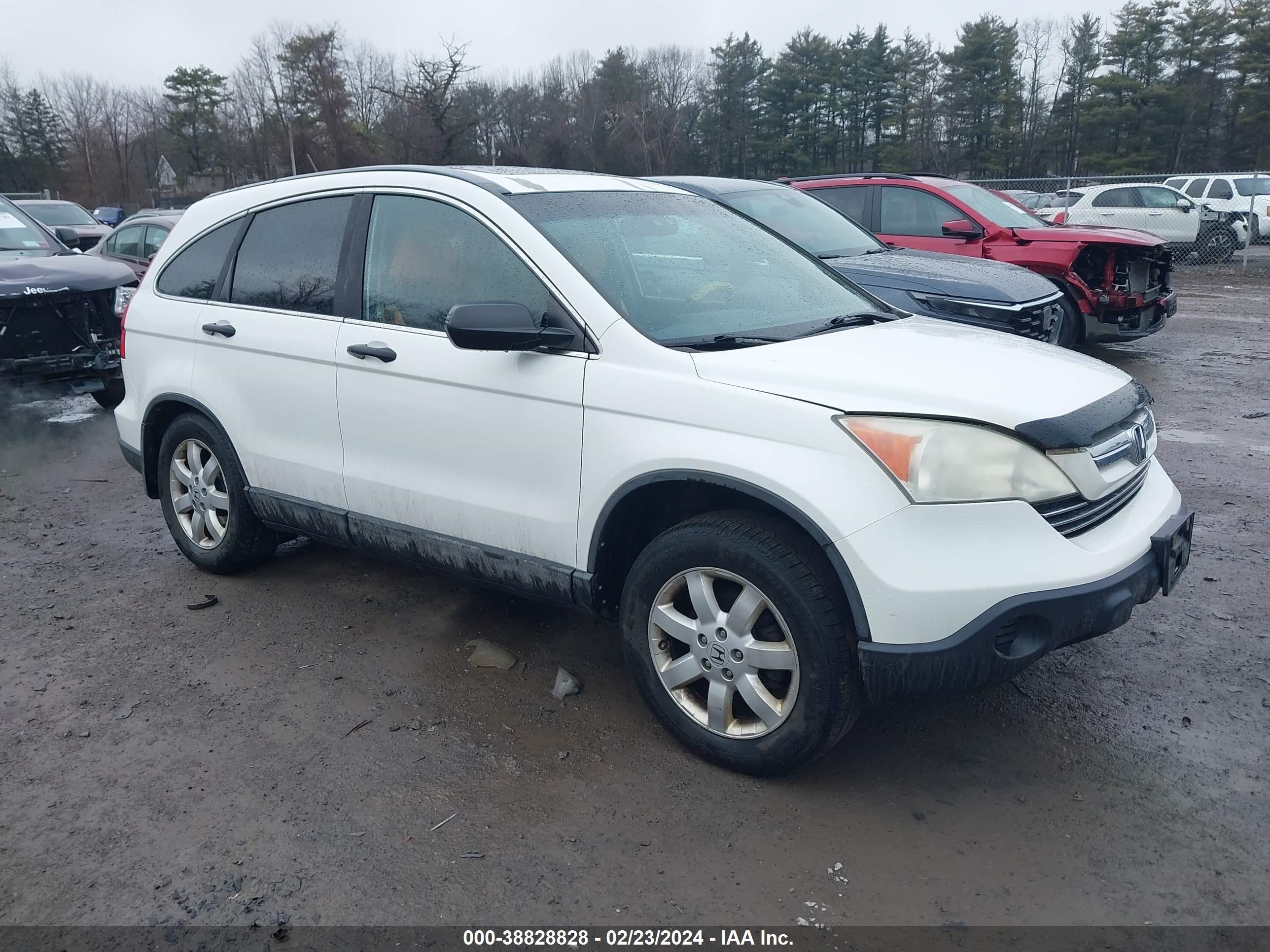 HONDA CR-V 2009 5j6re485x9l026448