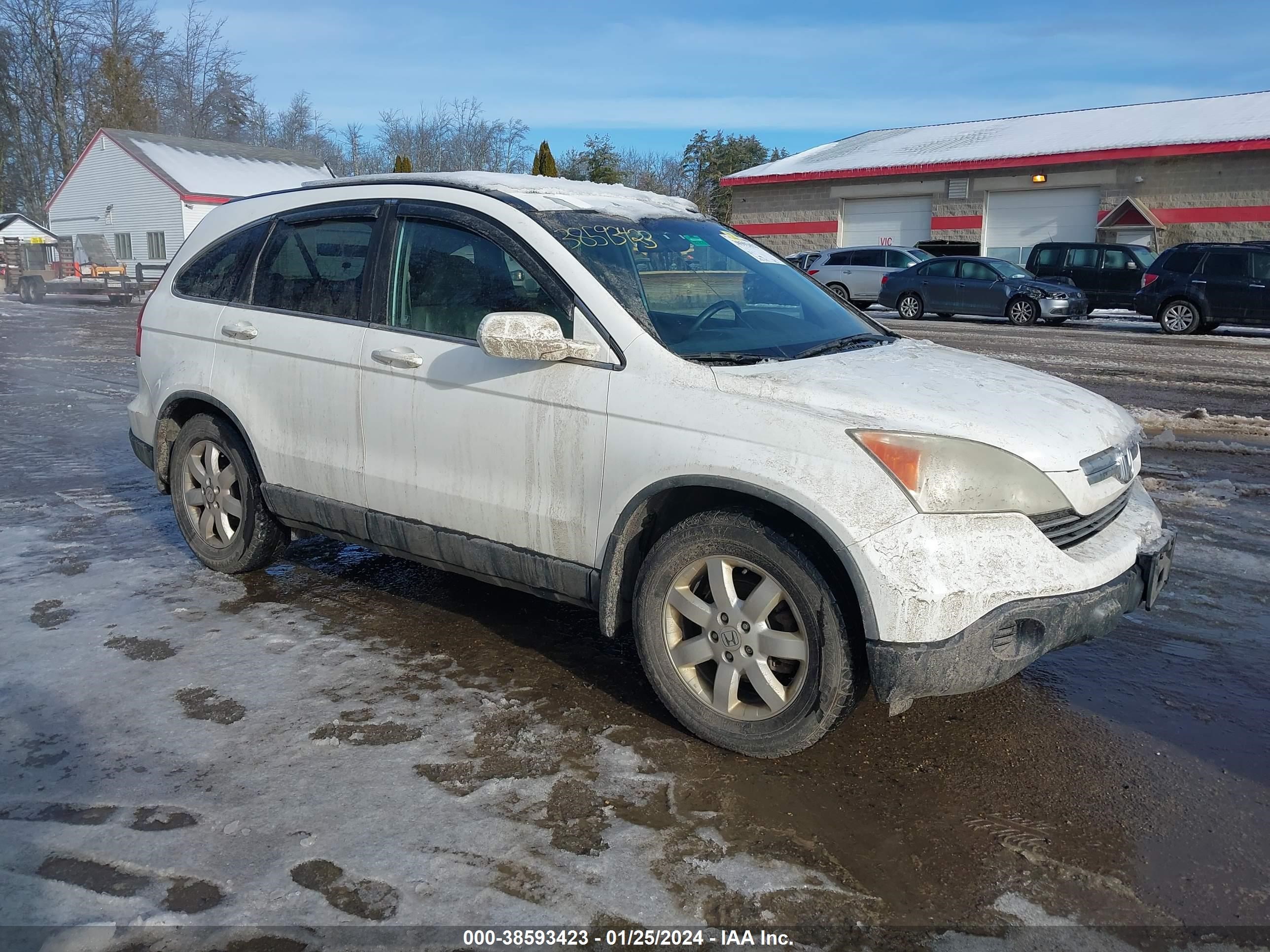 HONDA CR-V 2008 5j6re48728l010888