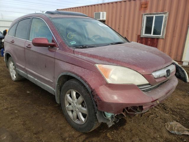 HONDA CR-V 2009 5j6re48779l001752