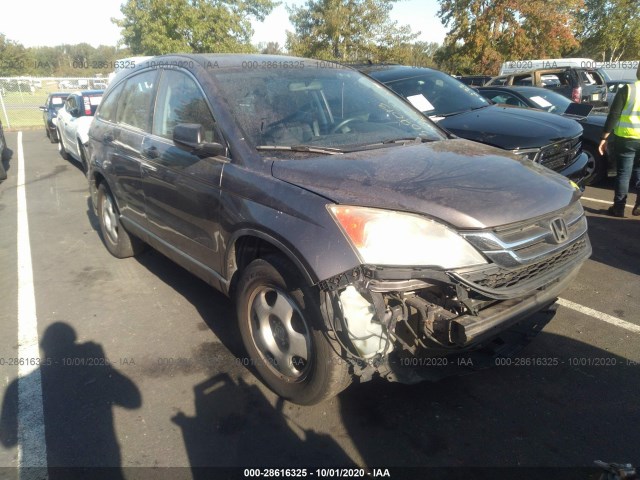 HONDA CR-V 2010 5j6re4h31al093328