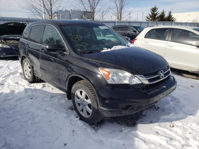 HONDA CR-V LX 0 5j6re4h31al812237