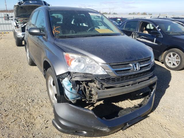 HONDA CR-V LX 2011 5j6re4h31bl113045