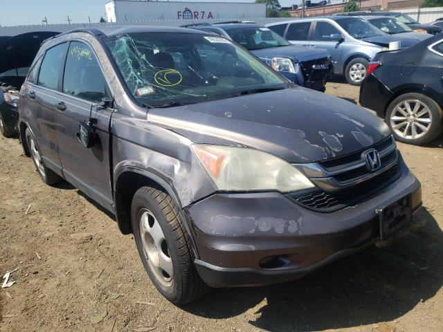 HONDA CR-V LX 2010 5j6re4h32al085500