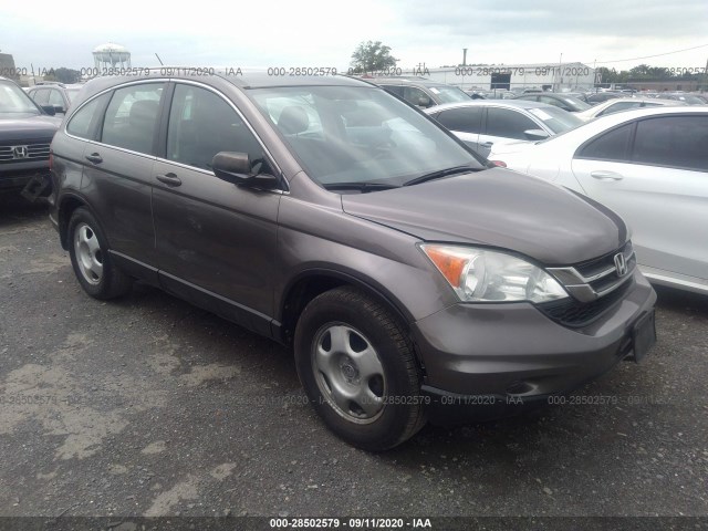 HONDA CR-V 2011 5j6re4h32bl090097