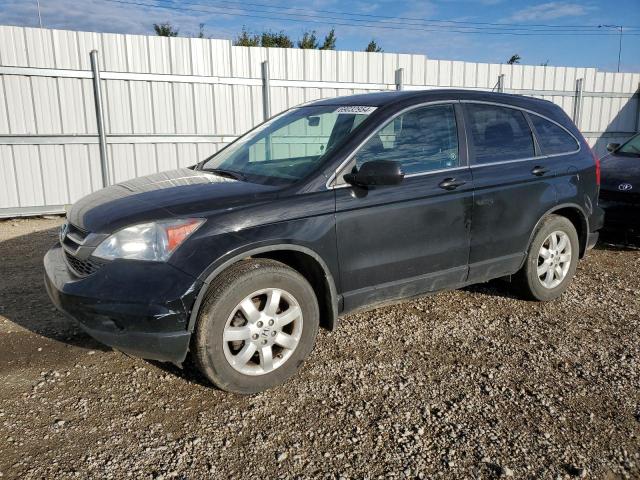 HONDA CR-V LX 2010 5j6re4h33al813728