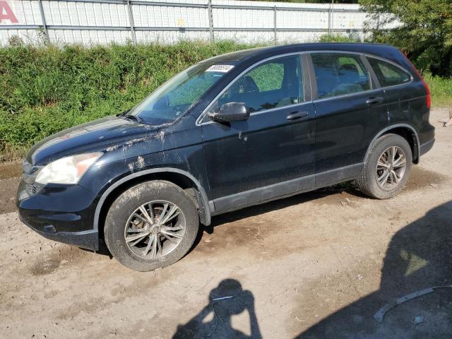 HONDA CR-V LX 2011 5j6re4h33bl042754