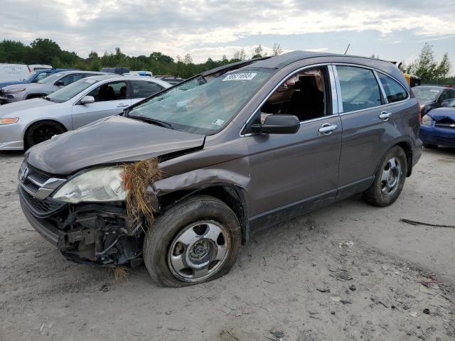 HONDA CR-V LX 2010 5j6re4h34al073543