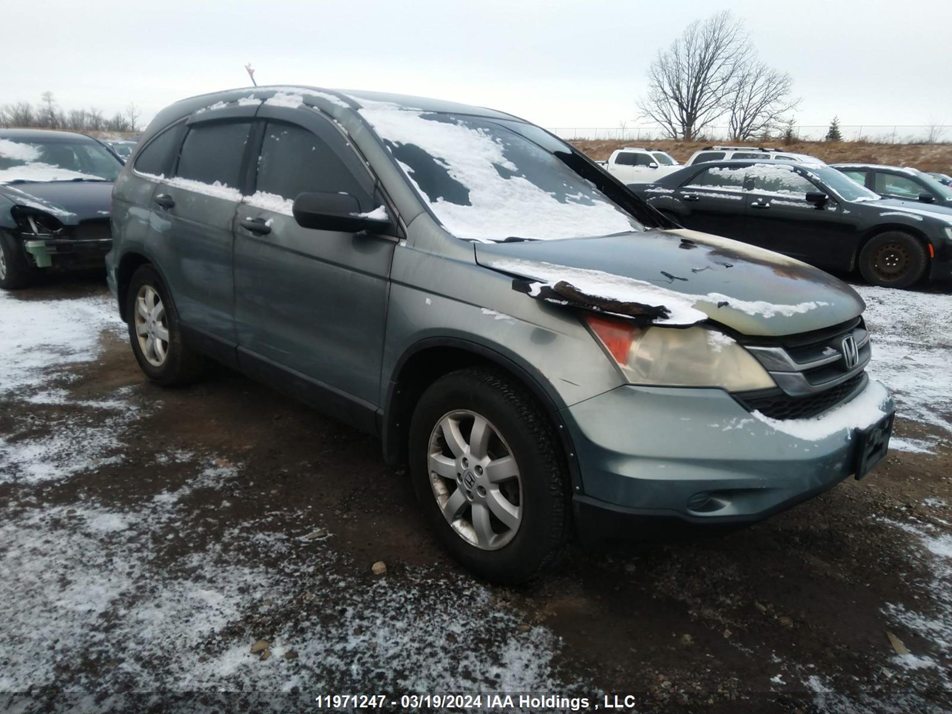 HONDA CR-V 2010 5j6re4h34al806674