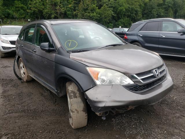 HONDA CR-V LX 2010 5j6re4h35al078122