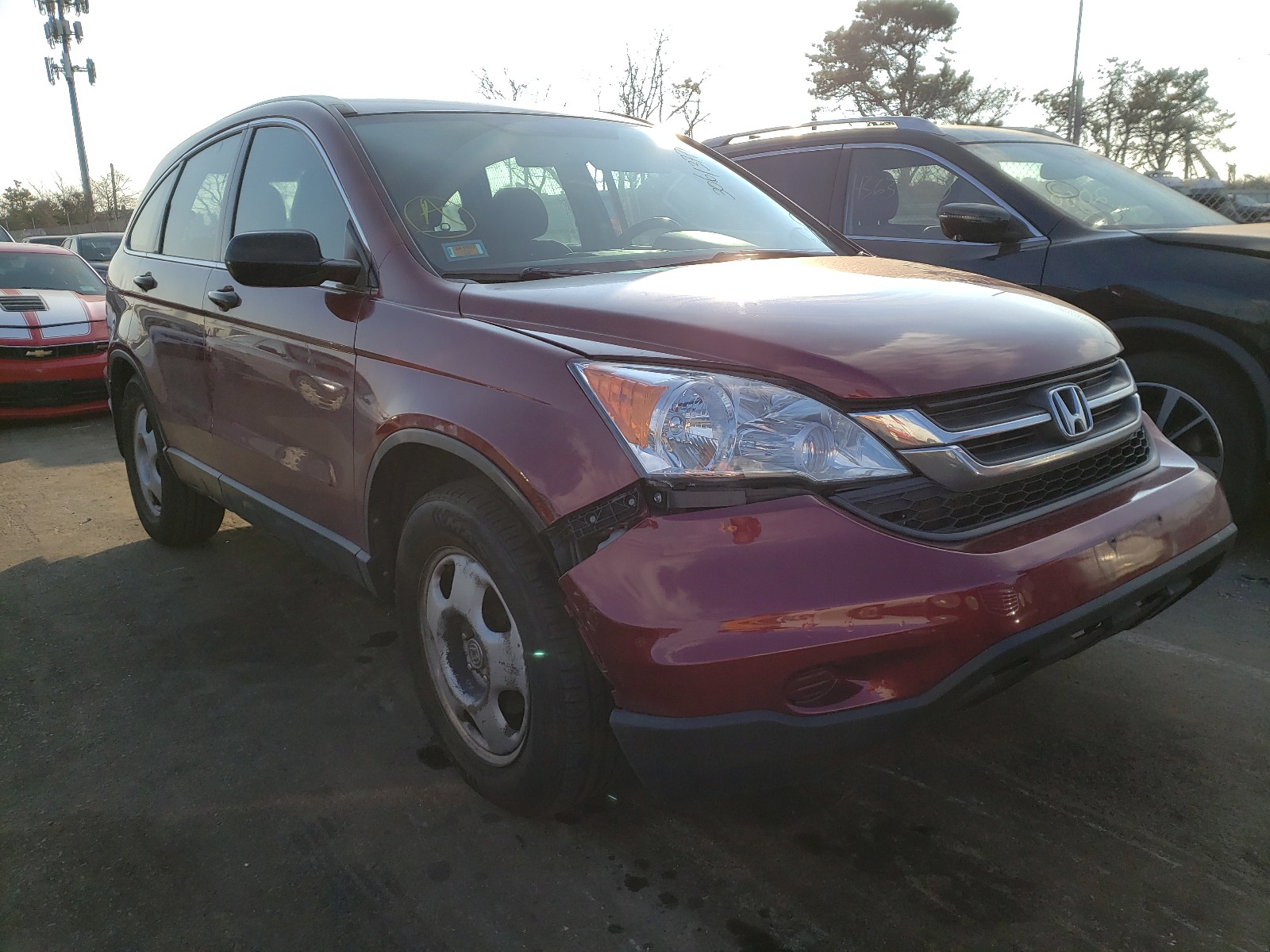 HONDA CR-V LX 2011 5j6re4h35bl052427