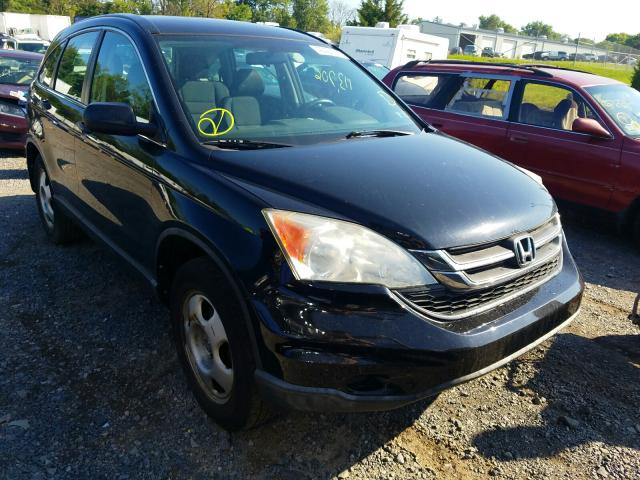 HONDA CR-V LX 2011 5j6re4h35bl070247