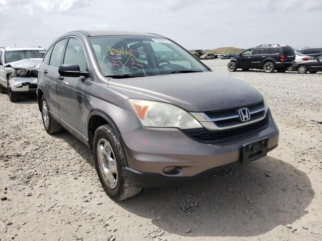 HONDA CR-V LX 2011 5j6re4h35bl111637