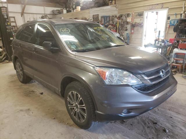 HONDA CR-V LX 2011 5j6re4h35bl115882